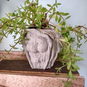 Disney Pocahontas grandmother willow planter plant pot